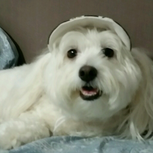 sajori